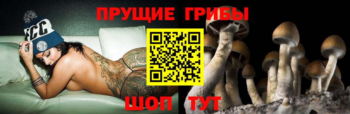 Галлюциногенные грибы MAGIC MUSHROOMS  Галлюциногенные грибы Psilocybine cubensis  закладка  Вход с VPN  Кыштым 